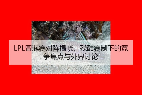LPL冒泡赛对阵揭晓，残酷赛制下的竞争焦点与外界讨论